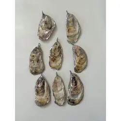 Кулоны ракушки устрицы
