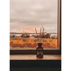 №9 "Кора и соленый воздух Териберки"
