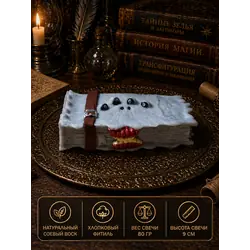Свеча Книга Монстров по мотивам Гарри Поттера