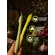 Столовые свечи Спаржи 2 шт